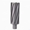 HSS Rotabroach Magnetic Drill Broach Core Magnetic Drill Bit for Metal