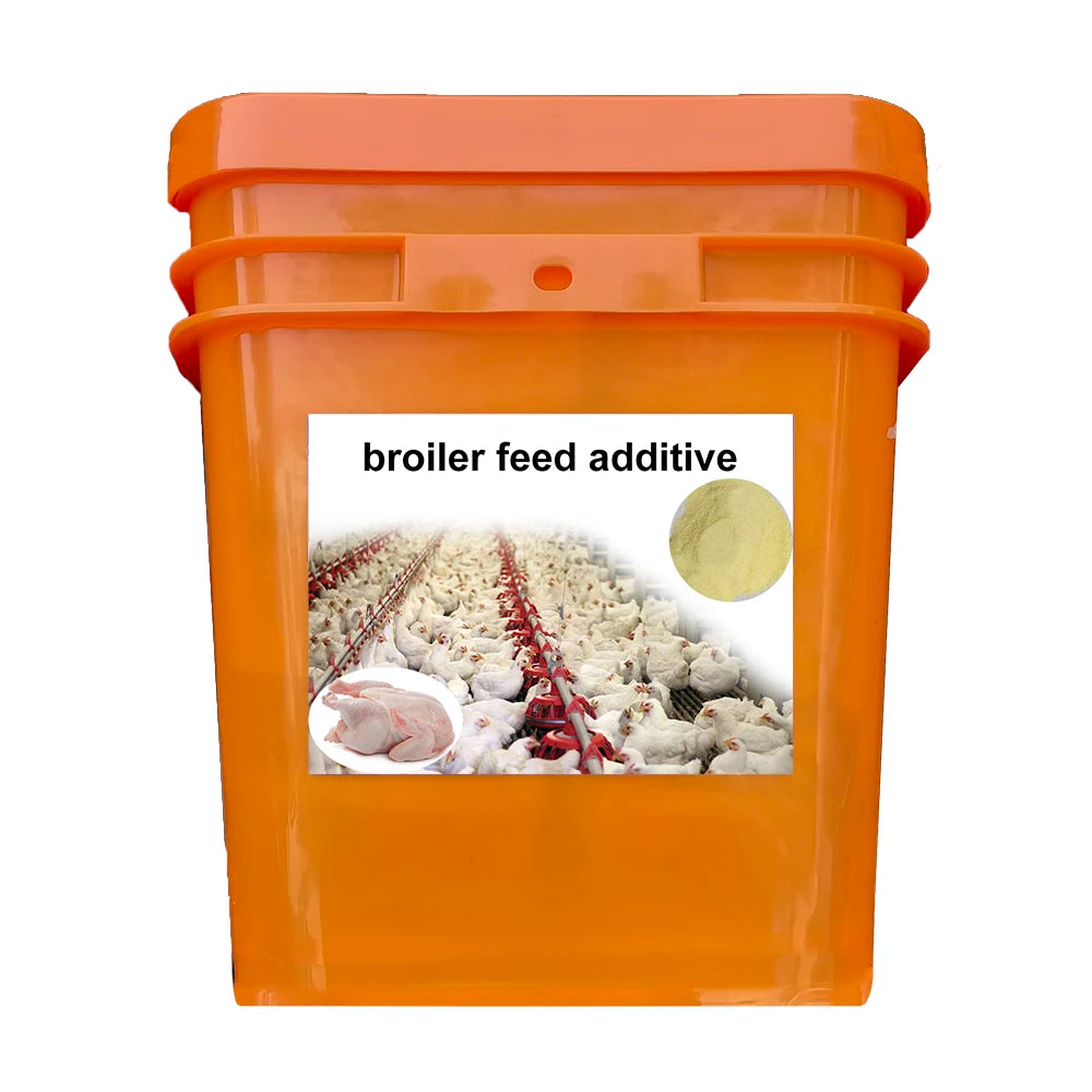 Improving Intestinal Flora Promoting Nutrient Absorption Broiler Chickens Premix