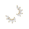 LOZRUNVE 925 Sterling Silver Luxury Gold Cluster Shinning Cubic Zirconia Stud Earring
