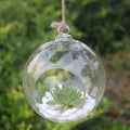 10CM Modern Creative Hanging Clear Glass Round Globe Vase Flower Plant Terrarium Lightweight Home Garden Office Decor
