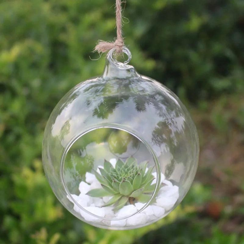10CM Modern Creative Hanging Clear Glass Round Globe Vase Flower Plant Terrarium Lightweight Home Garden Office Decor