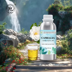China Tea (Camellia Oleifera) Seed Oil Organic for Cosmetics - 100% Pure Natural Cold Pressed Carrier Oil | Bulk Price 1kg