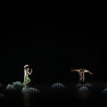 5 Meters Wide Transparent 3D Holographic Stage Foil / Hologram Reflection Projection Film