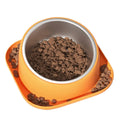 Haogle Wholesale New Product Household  With Stainless Steel Bowls and PP Plastic Rack Food Dog Pet Feeder