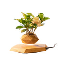 HCNT Hot Selling Nordic Elegance Minimalism Electric Durable Plastic Levitating Flower Pot Automatical Rotation Modern Creative