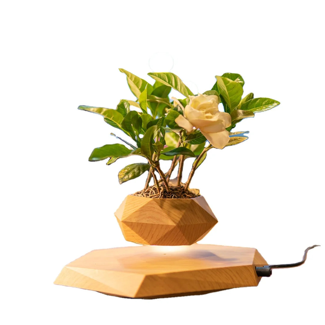 HCNT Hot Selling Nordic Elegance Minimalism Electric Durable Plastic Levitating Flower Pot Automatical Rotation Modern Creative
