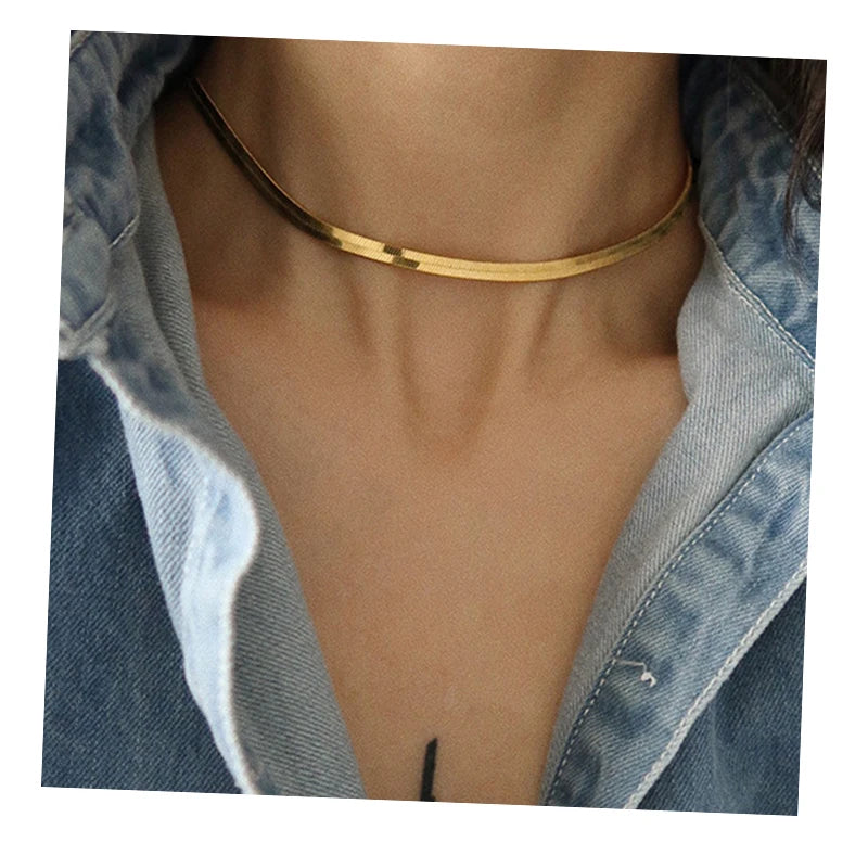 Vintage Style Stainless Steel Snake Bone Chain Necklace 18k Gold Plated Waterproof Basic Chain Necklace