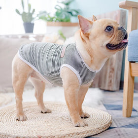 Hot Sale Spring Summer Dog Clothing Pet Fashionable Striped T-shirts Multi-colors Cats Clothes Pet Clothes Dog T Shirt Vest