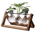 Creative Plant Container Wooden Frame Glass Vase for Plants Home Garden  Decoration  Glass Cylinder Vase Wood Crafts
