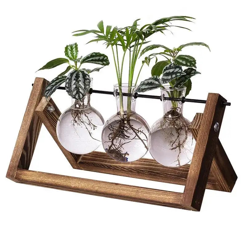 Creative Plant Container Wooden Frame Glass Vase for Plants Home Garden  Decoration  Glass Cylinder Vase Wood Crafts
