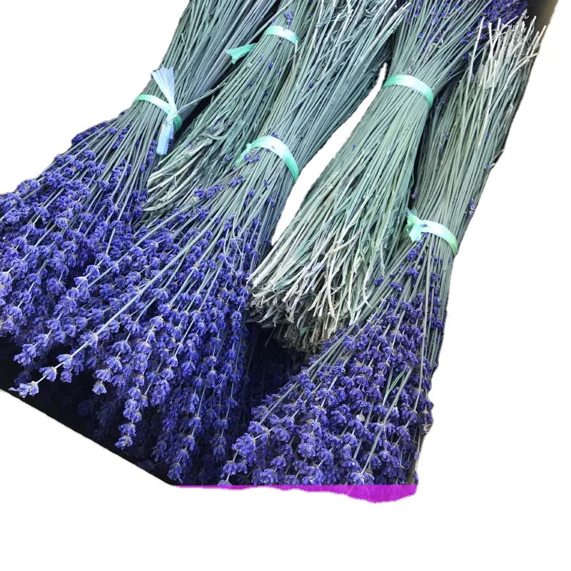 1KG No Dye Natural Grow Pure Scented Dried Lavender Bundle for Home Decoration