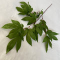Big Beautiful Leaves for Wedding Decoration Artificial Plants