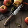 HEZHEN New Damascus Steel Paring Knife Sharp Kitchen Fruit Peeling Knives With Micarta Handle