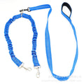Multiple Functions Multi Colors Durable Nylon Wholesale Hot Sale Heavy-duty Dog Leash Strong Rope Leash for Dog