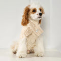 UFBemo Warm Big Small Custom Pet Outfit Winter Dog Outfit Pet Knitted Jumper Outfit Clothes Dog Sweater Pet Clothes