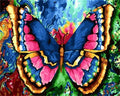 CHENISTORY 992756 Colorful Butterflies Diy Acrylic  Paint by Numbers Modern Oil Painting DIY Numbers Oil Painting on Canvas