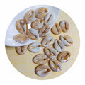100pcs Acrylic Shell Beads Seashells Conch for Bracelet Boho Jewelry Making Needlework Wholesale Jewelry Accessories