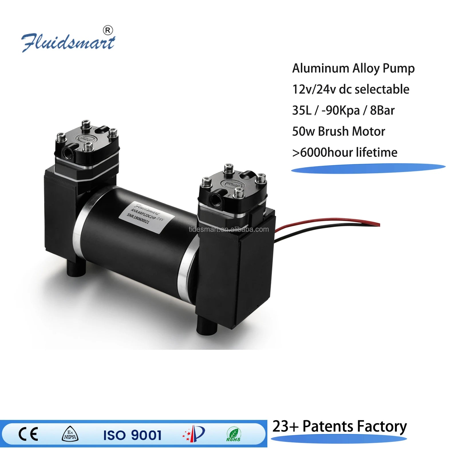 ARP12DC24P High Pressure Stainless Steel Piston Pump 30L/min Oilless Rocking Double Piston Vacuum Pump for Automotive Industry