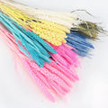 2025 INS Popular Natural Millet Flower Wedding Decoration Long Lasting Eternal Flower Wholesale Cotton Eucalyptus for Easter
