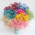 Wholesale Handmade Natural Star Gypsophila Dried Flower Bouquet 60cm for Wedding Home Decoration