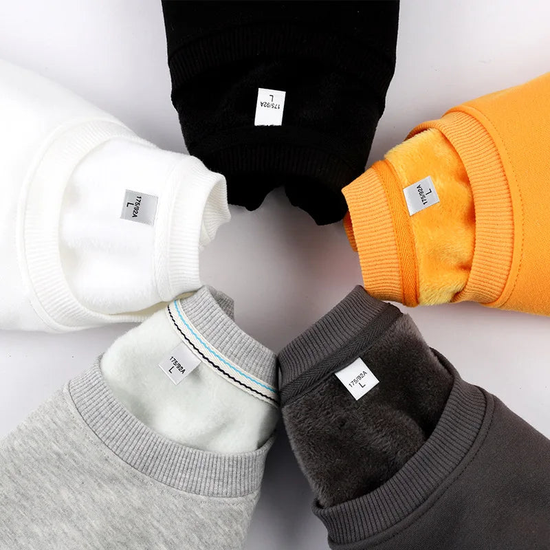 Wholesale Cheap Autumn Mens Plus Size Crewneck Sweatshirt Unisex Jumper 100% Cotton Eco-Friendly Plain Dyed Print