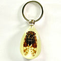 Handmade Amber Jewelry Wholesale Insect Amber Keychain Men's Glowing Large Bug Cicada in Resin Insect Pendant Key Chain