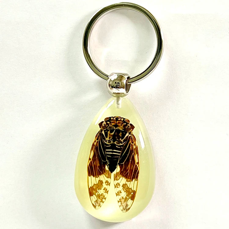 Handmade Amber Jewelry Wholesale Insect Amber Keychain Men's Glowing Large Bug Cicada in Resin Insect Pendant Key Chain