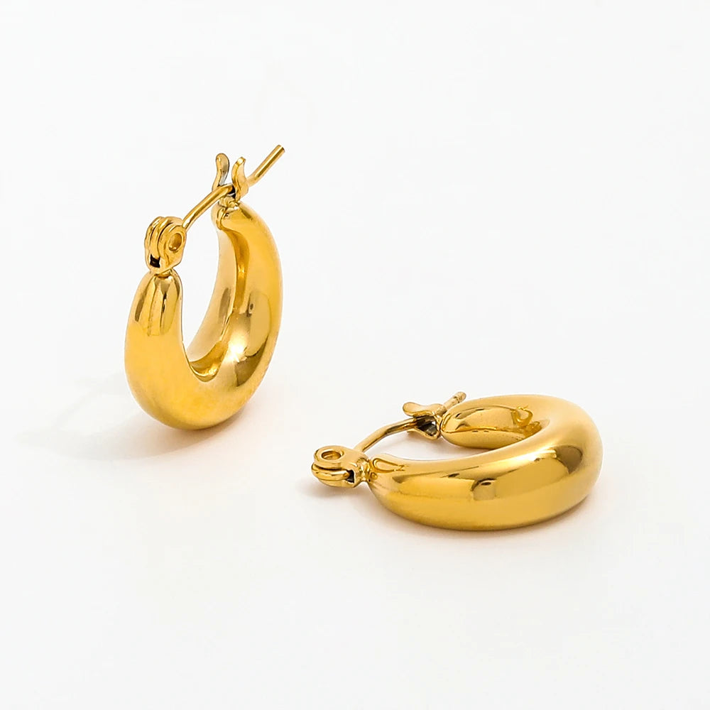 New Tarnish Free & Waterproof Simple Stainless Steel Hoop Earrings Customized Earring Wholesale