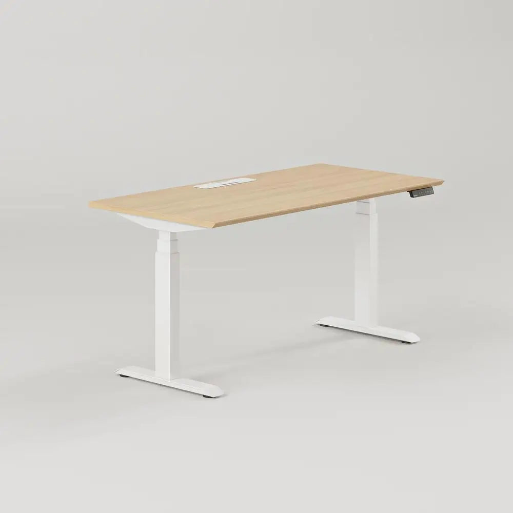 Manufacturer Height Adjustable Electric Motor Standing Desk Office Desk Chair