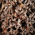 Luo Xin Fu New Dried  Chinese Astilbe Chinensis Root for Sale