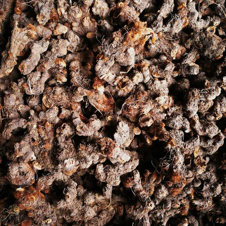 Luo Xin Fu New Dried  Chinese Astilbe Chinensis Root for Sale