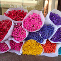 Valentine Day Gift Everlasting Eternal Preserved Dried Gypsophila Paniculata Everlasting Babysbreath Flower