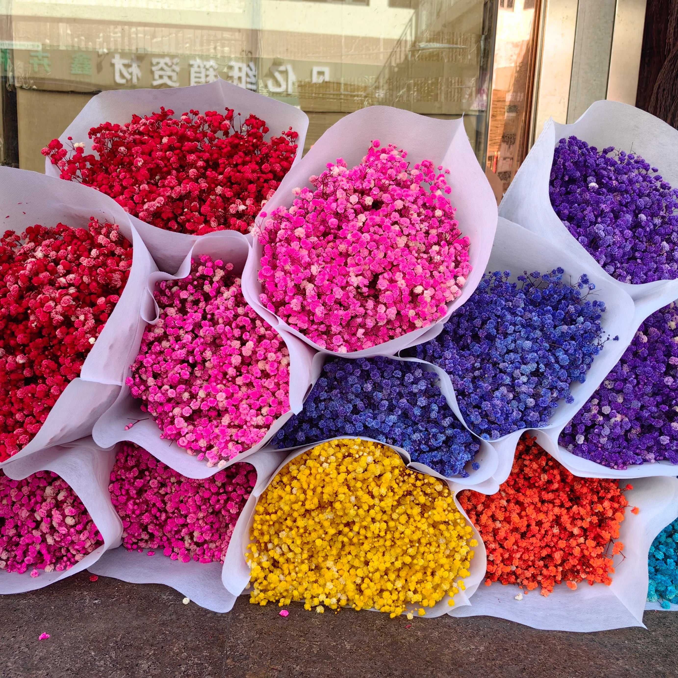 Valentine Day Gift Everlasting Eternal Preserved Dried Gypsophila Paniculata Everlasting Babysbreath Flower