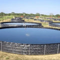 HDPE/LDPE/LLDPE PVC/EPDM/EVA Geomembrane Liner 0.2mm-3mm Anti-UV Waterproof Farm Pool Pond Liner Geomembrane Out of Polyethylene