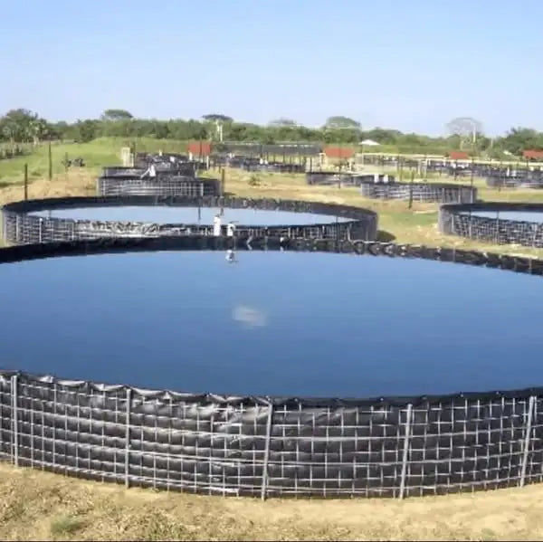 HDPE/LDPE/LLDPE PVC/EPDM/EVA Geomembrane Liner 0.2mm-3mm Anti-UV Waterproof Farm Pool Pond Liner Geomembrane Out of Polyethylene