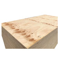 Cdx Pine Plywood Radiata Pine BB/CC Plywood Wood Materials Pine Ply Board