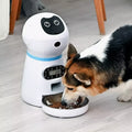 Auto Para Perro Gato Alimentador App Wifi Control Dog Cat Food Bowl Smart Mascota Automatic Microchip Timed Pet Mangeoire Feeder