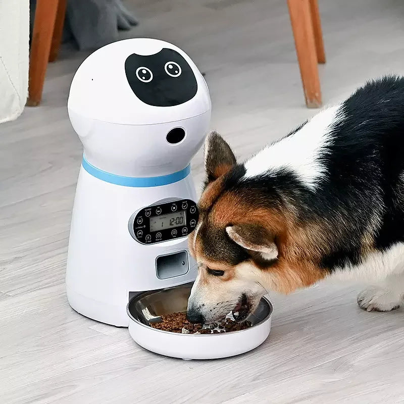 Auto Para Perro Gato Alimentador App Wifi Control Dog Cat Food Bowl Smart Mascota Automatic Microchip Timed Pet Mangeoire Feeder