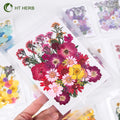 Low Price Mixed Dry Pressed Dried Grass Flower Crafts Art Natural Real Dried Pressed Flowers DIY Material