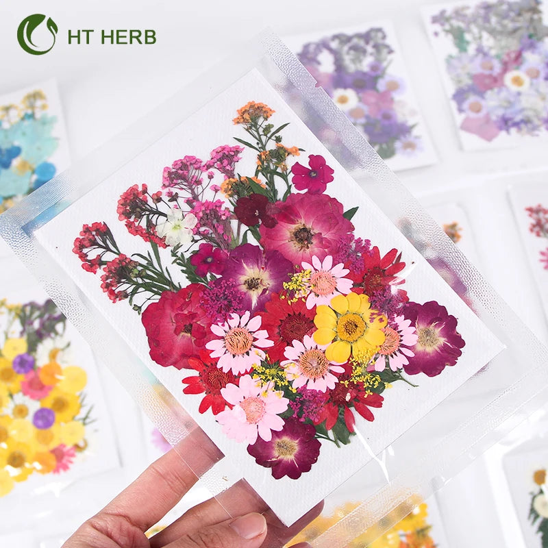 Low Price Mixed Dry Pressed Dried Grass Flower Crafts Art Natural Real Dried Pressed Flowers DIY Material