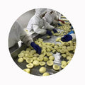 XMSD Frozen White Peach Slices in Bulk 99% Purity Vacuum-Sealed for 24-Month Shelf Life IQF Process