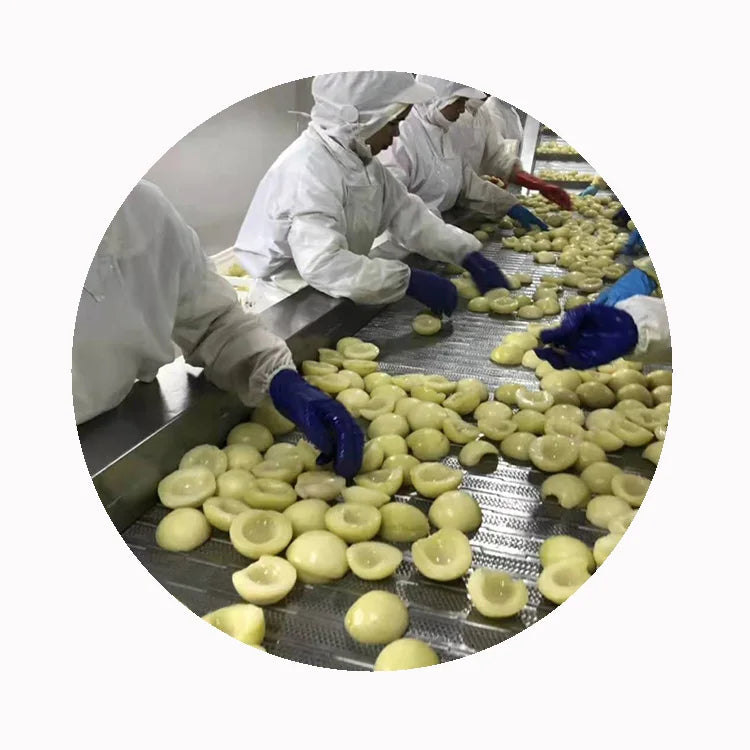 XMSD Frozen White Peach Slices in Bulk 99% Purity Vacuum-Sealed for 24-Month Shelf Life IQF Process