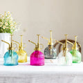 220ml Antique Vintage House Indoor Thin Stripe Glass Plant Spray Mister with Metal Pump for Plant