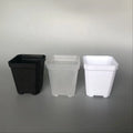 Mini Small square Shallow Black White clear Transparent Plastic Plant Nursery Mesh Seedling Mesh Succulent Planter Flower Pot