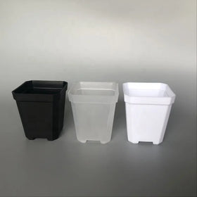 Mini Small square Shallow Black White clear Transparent Plastic Plant Nursery Mesh Seedling Mesh Succulent Planter Flower Pot