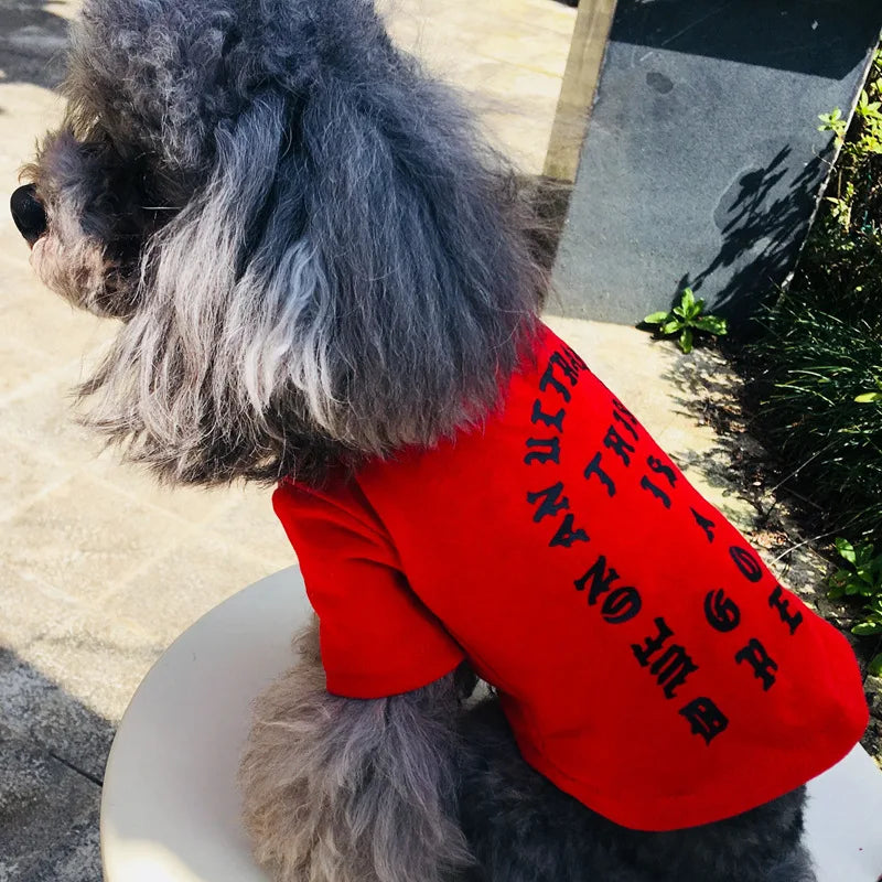 Wholesale Stocked Dog and Owner Clothes Pet Parent-child Matching Clothing Ourtfits t Shirt