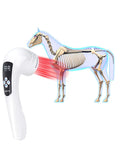 Home Remedy Dog Ear Infection Pet Product Infrared Light Therapy for Animal Arthritis Pain Horse Cat Veterinary Clinical MegaBDM