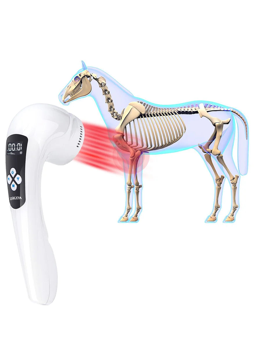 Home Remedy Dog Ear Infection Pet Product Infrared Light Therapy for Animal Arthritis Pain Horse Cat Veterinary Clinical MegaBDM