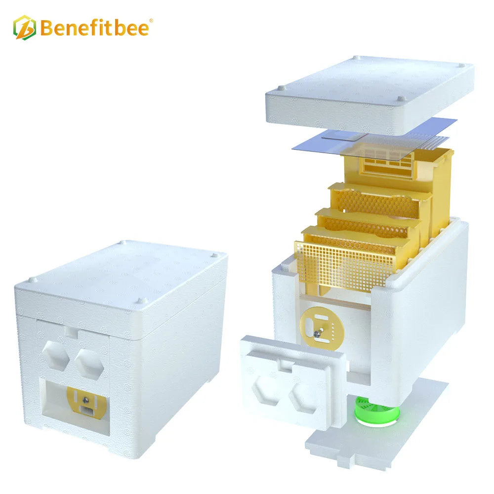 Nuc Box Bee Queen Mating Box Queen Bee Mini Beehive Box