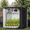 Hot Selling 600D Oxford Fabric Hydroponics for Grow Tent 80*45*80 Black Indoor Greenhouse Iron Mylar for Mushroom